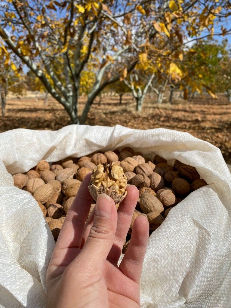 Arra — Babrru Farm — 3/3