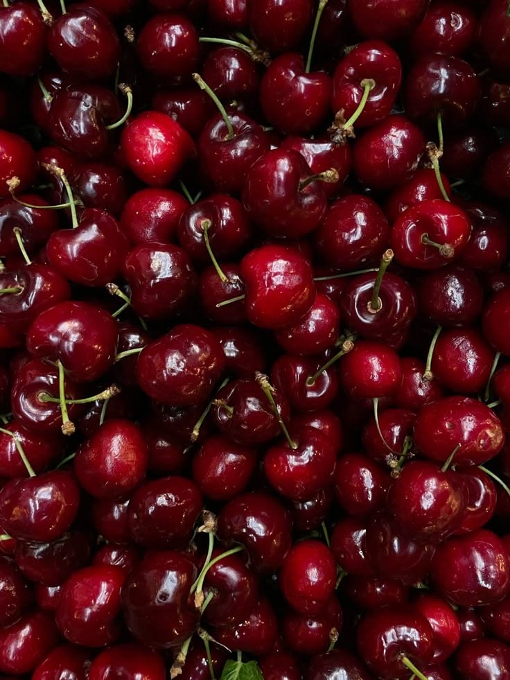 Qershi — Babrru Farm — 2/3