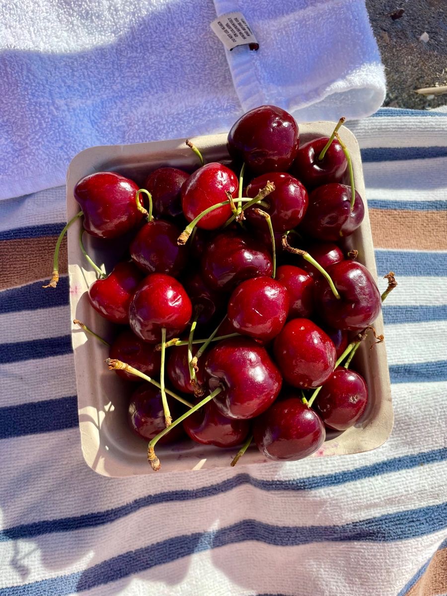 Qershi — Babrru Farm — 3/3